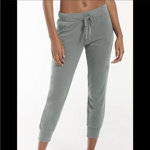 Z Supply Classic Jogger Ash Green XS